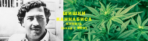 ГАЛЛЮЦИНОГЕННЫЕ ГРИБЫ Алексин