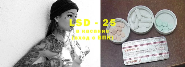 стафф Алзамай