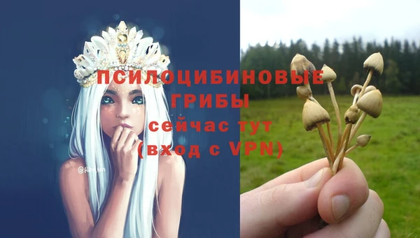 ГАЛЛЮЦИНОГЕННЫЕ ГРИБЫ Алексин
