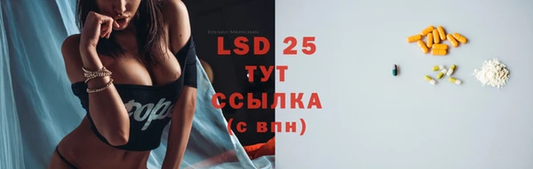 стафф Алзамай