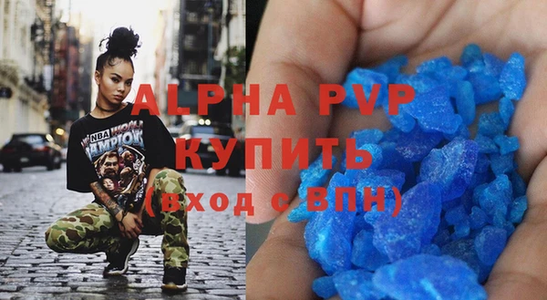стафф Алзамай