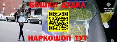 ПСИЛОЦИБИНОВЫЕ ГРИБЫ Обь